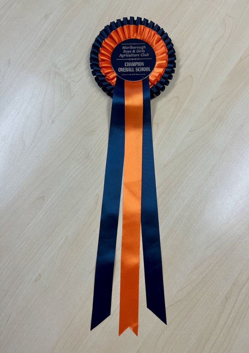 Renwick School — Overall Champion at Group Day 2022